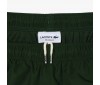 Pantalon Survêtement Lacoste XH5441 PQK Green Lapland