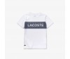 T-shirt junior Lacoste TJ3286 522 White Navy Blue