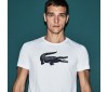 T-shirt Lacoste TH3377 522 white navy blue  