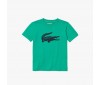 T-shirt Junior Lacoste TJ2910 58T Palm Green Navy Blue